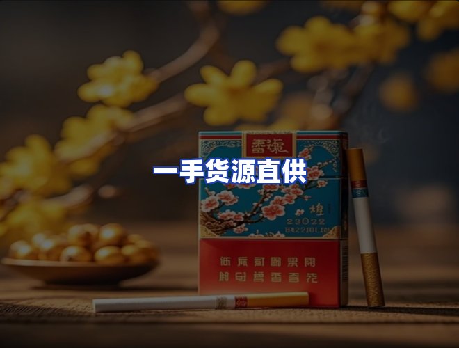 专业团队